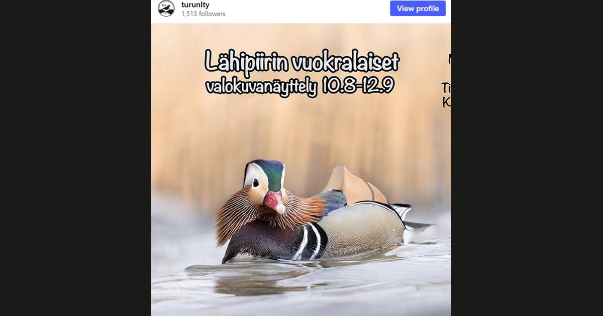 Kuvakaappaus @turunlty-tilin Instagram-postauksesta